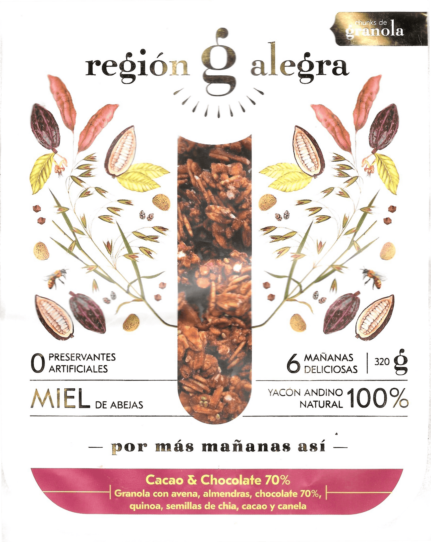 Granola de Cacao y Chocolate - Región Alegra 320 Gr.