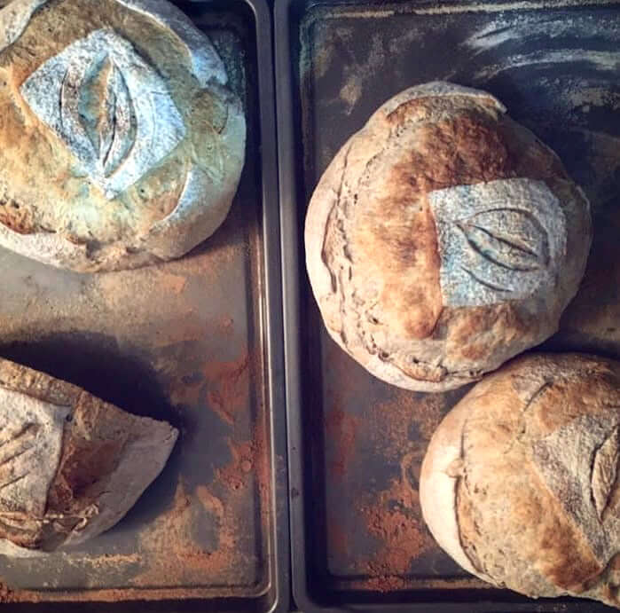 Pan Campito MOMA - 300 Gr.